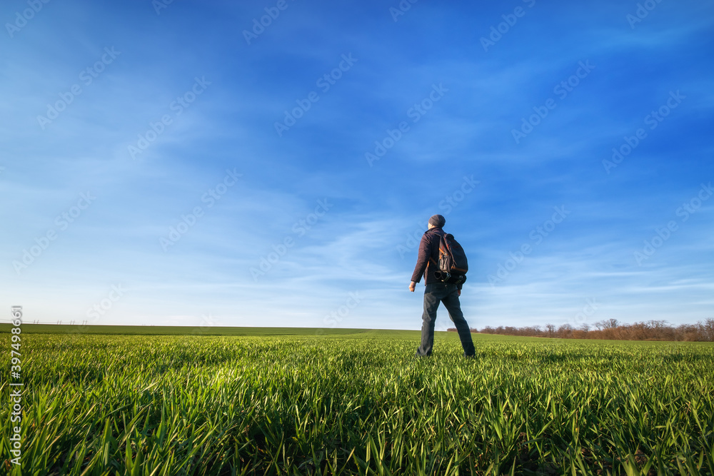 field of young wheat / man on the field agriculture field of young wheat / man on the field agriculture