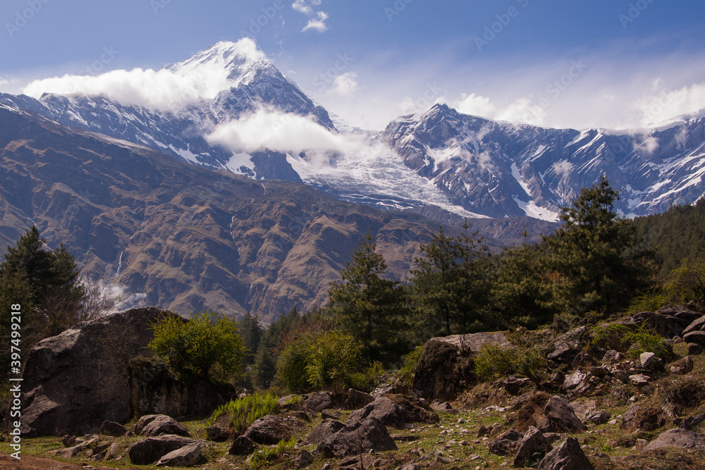 Scenic landscape with pine trees, rocks, green meadow and huge Annapurna mountain peak (8091 meter) covered with snow, waterfalls and clouds.  Annapurna circuit trekking route. Nepal.