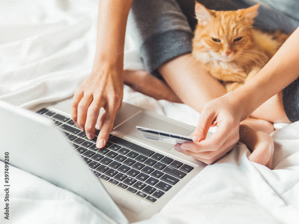 Naklejka premium Cute ginger cat and woman in bed with laptop. Woman is making online order and paying with credit cards. Online shopping. Morning bedtime with fluffy pet.