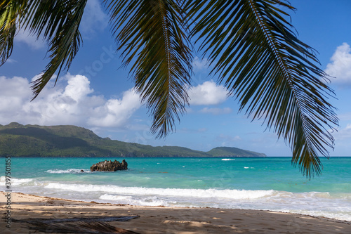 Panoramic view of the paradise beach with palm tree leaves, lone cliff (rock) in blue water of Atlantic Ocean and green mountains at the background, Rincon, Samana, Dominican Republic  © Pavel