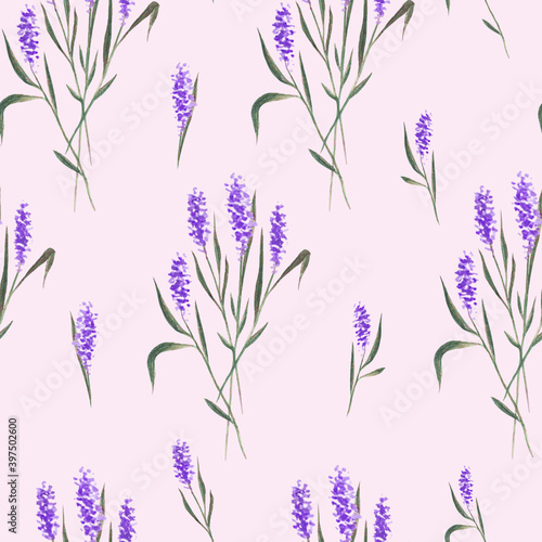 Watercolor hand drawn lavender flowers illustration.