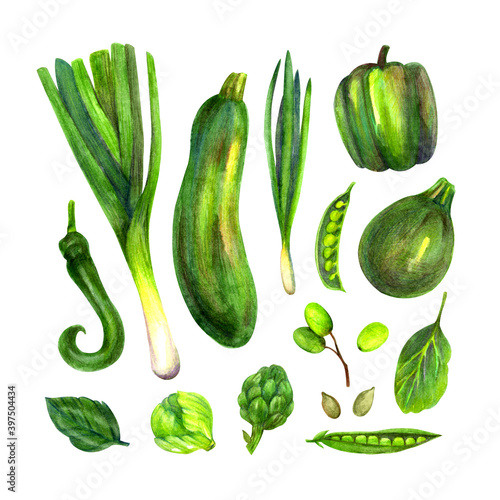 Set of watercolor hand-drawn vegetables (zucchini, leek, peppers, brussels sprouts, peas, artichoke, greens) isolated on white background.