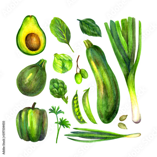 Set of watercolor hand-drawn vegetables (avocado, zucchini, leek, peppers, Brussels sprouts, peas, artichoke, herbs) isolated on white background.