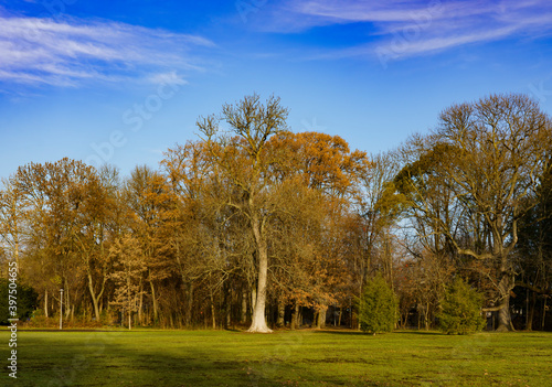 margaret island budapest © Posztós János