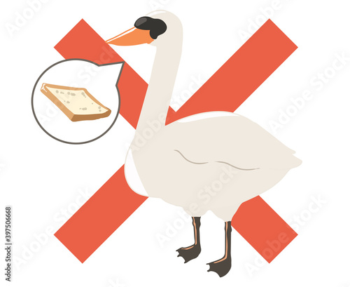 コブハクチョウ　餌やり禁止(線無し)