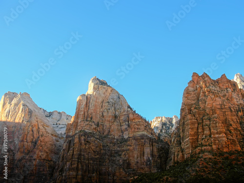 Geological textures and flora in late autumn in Zion Canyon, Utah