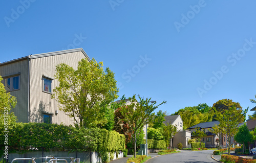 Japan's residential area, suburbs of Tokyo 　日本の住宅地、東京郊外	 photo