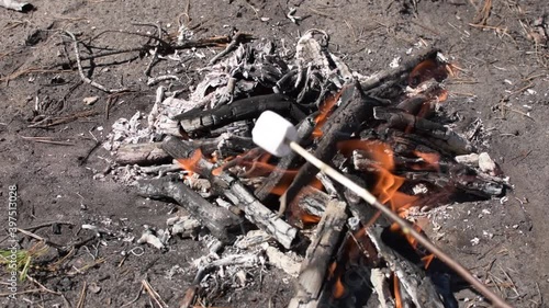 Wallpaper Mural Cooking marshmallows over a campfire in the park Torontodigital.ca