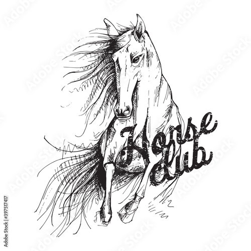 Fototapeta Naklejka Na Ścianę i Meble -  Running Horse. Creative poster, t-shirt composition, hand drawn style print. Vector black and white illustration.