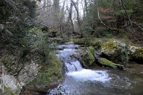 DESFILADERO DEL RIO PURON
