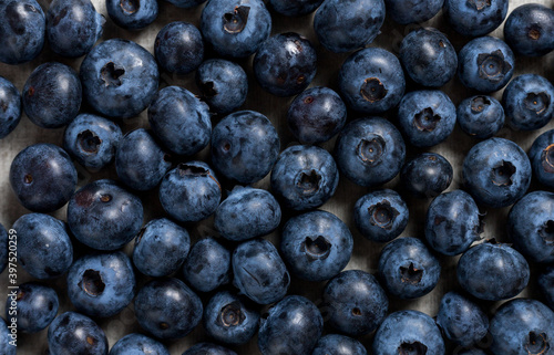 lot of blueberries background texture