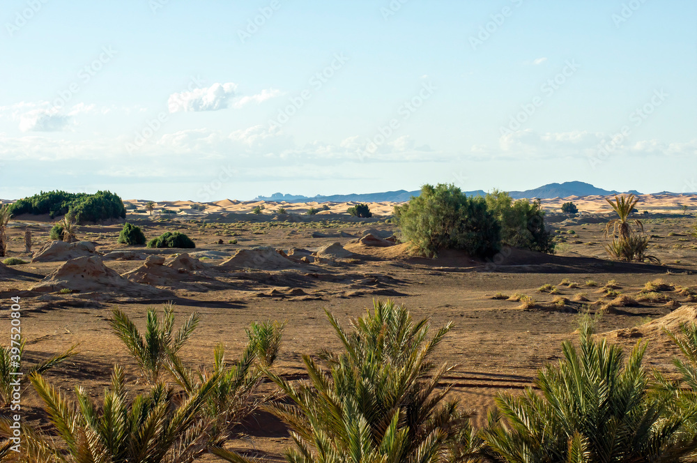 Morning light on village outskirts, Merzouga, Morocco Morning light on village outskirts, Merzouga, Morocco