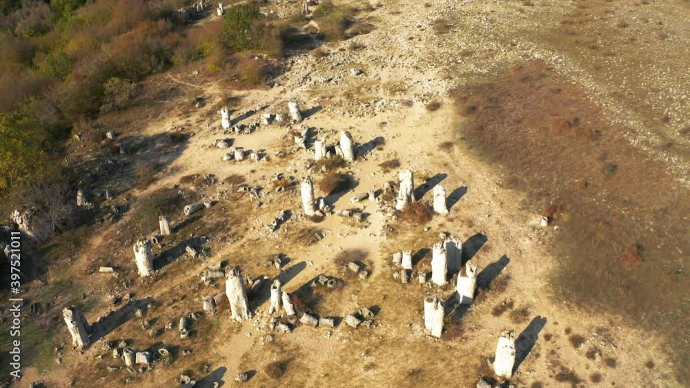 Aerial, Stone Forest Aerial, Stone Forest