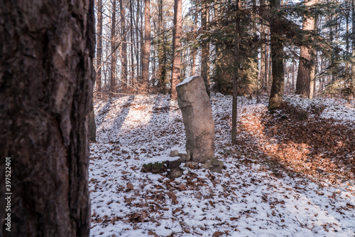 Fototapeta Naklejka Na Ścianę i Meble -  Kamienny posąg pośrodku zimowego lasu
