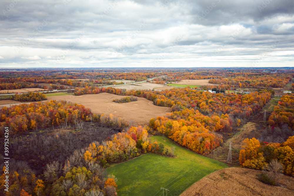 Beautiful aerial photograph of green and golden farm fields in Indiana in Fall with colorful red, yellow and orange autumn foliage or leaves on the forests of trees scattered across the landscape.