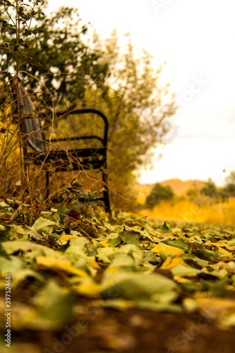 bench in the park
