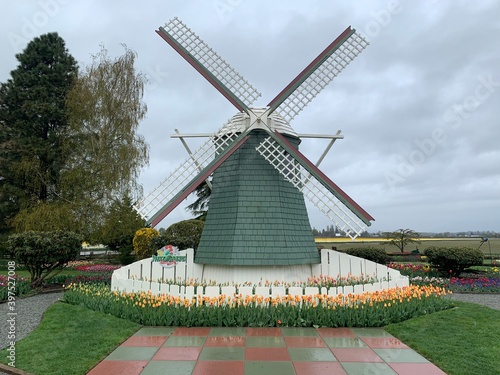 Windmill in the Rain