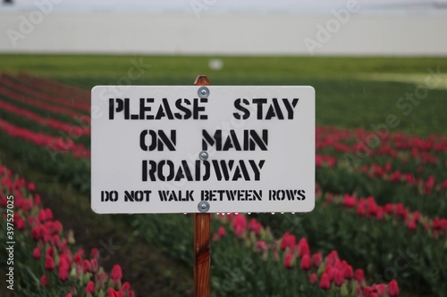 Please Stay on Main Pathway sign in the Rain