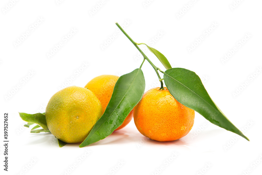 Tangerine with green leaf with dew drops isolated on white background.	