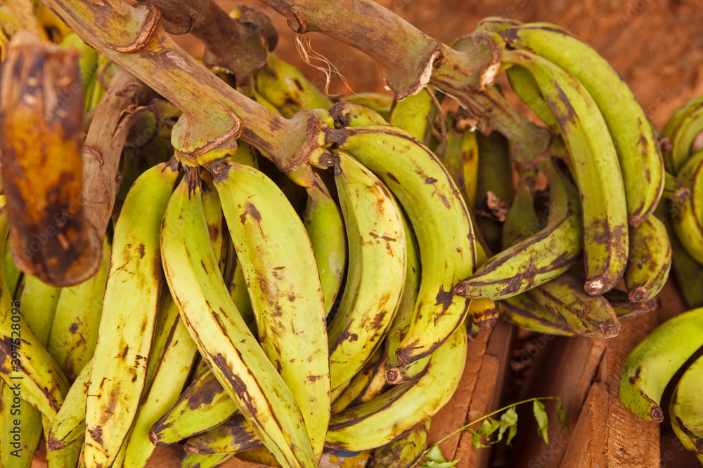 Plantains at a roadside produce stand in Ghana West Africa Stock Photo