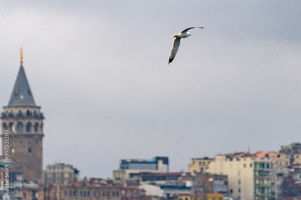 Galata town and the Tower from historical peninsula durning a ferryboat passing on Bosporus.Sky is clear partly cloudy on istanbul Galata town and the Tower from historical peninsula durning a ferryboat passing on Bosporus.Sky is clear partly cloudy on istanbul