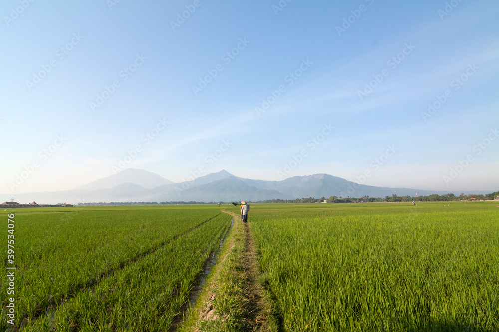 Field and sky with clouds