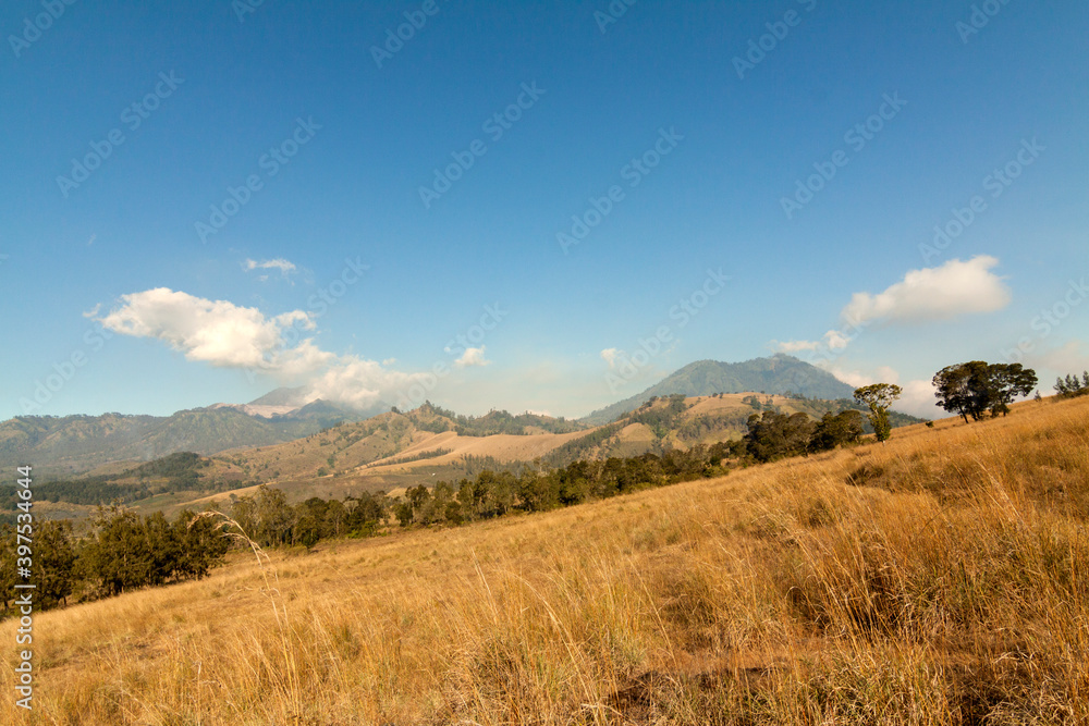 Landscape of the mountains Landscape of the mountains
