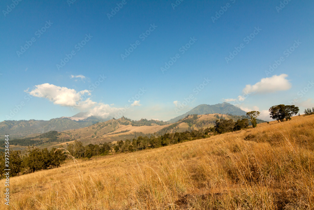 Landscape of the mountains