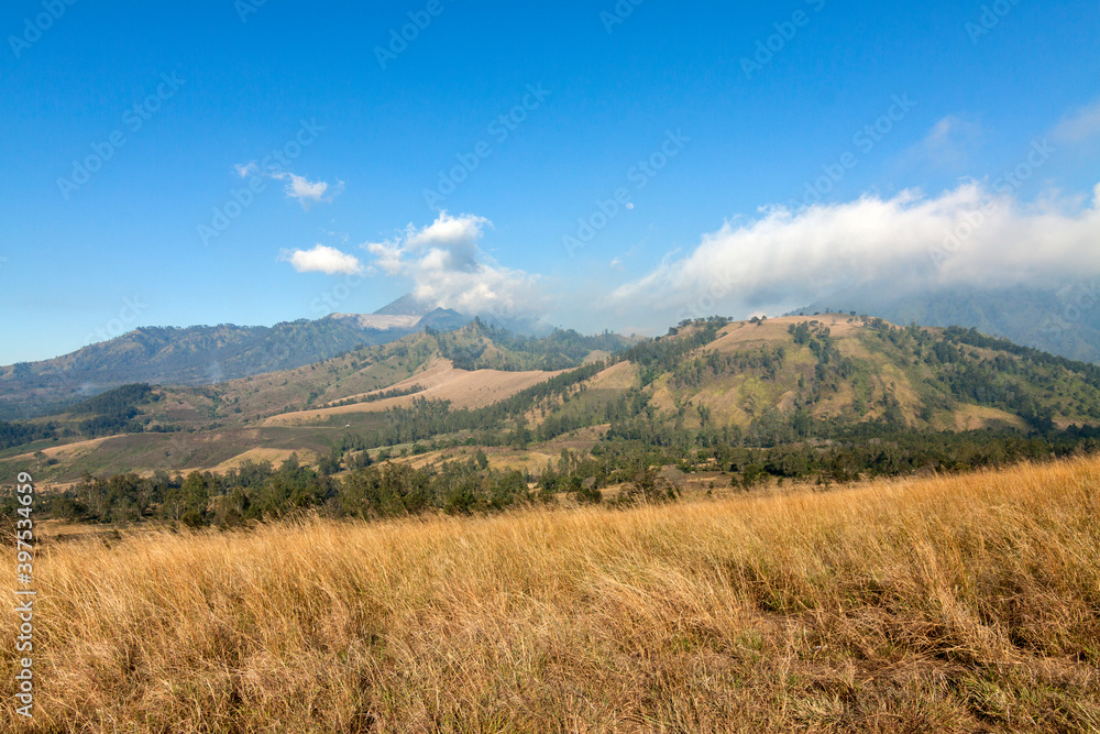 Fototapeta premium Landscape of the mountains