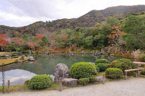 日本の庭園　池、山、借景 photo