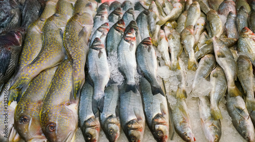 close up on the frozen raw fish for sale