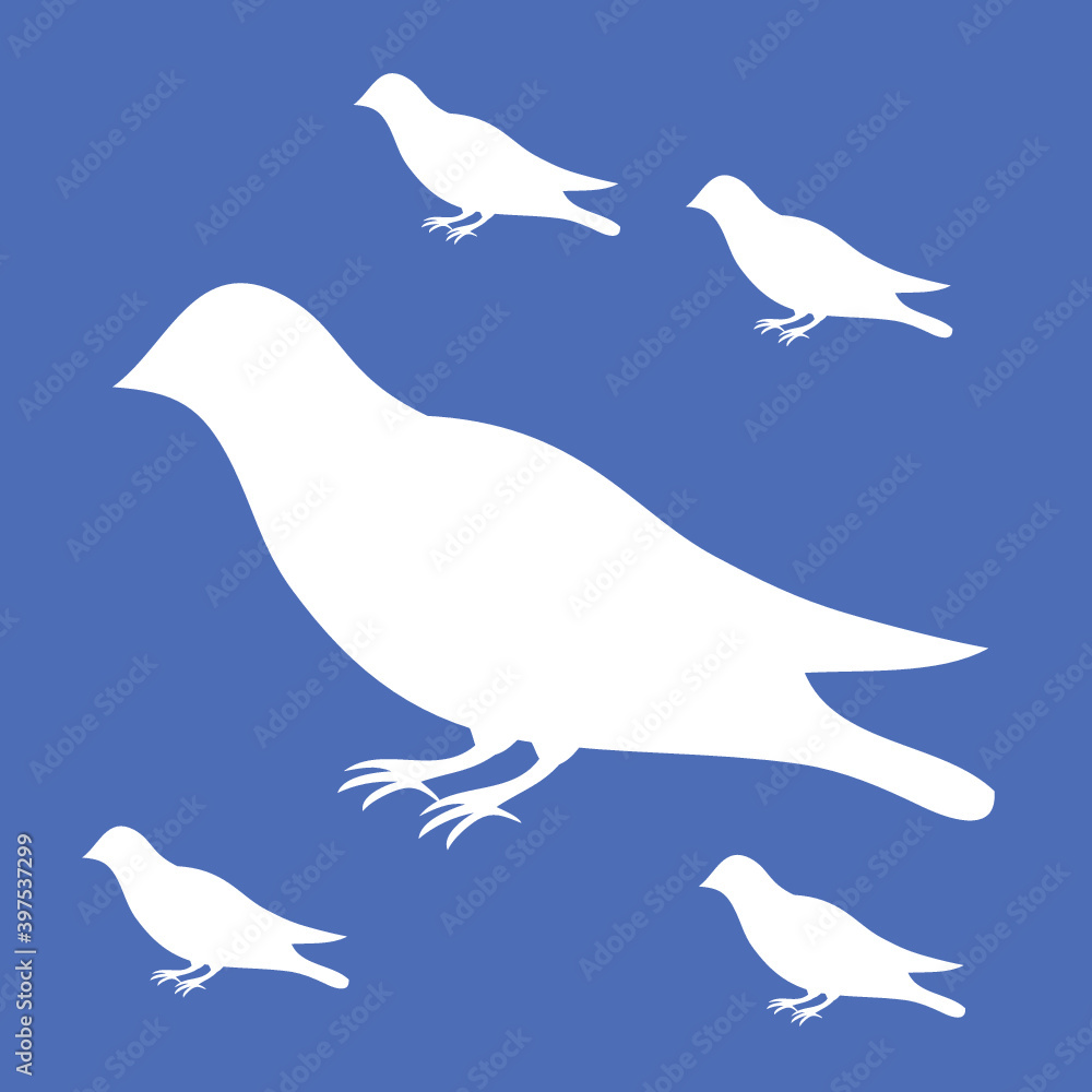 illustration of a dove illustration of a dove