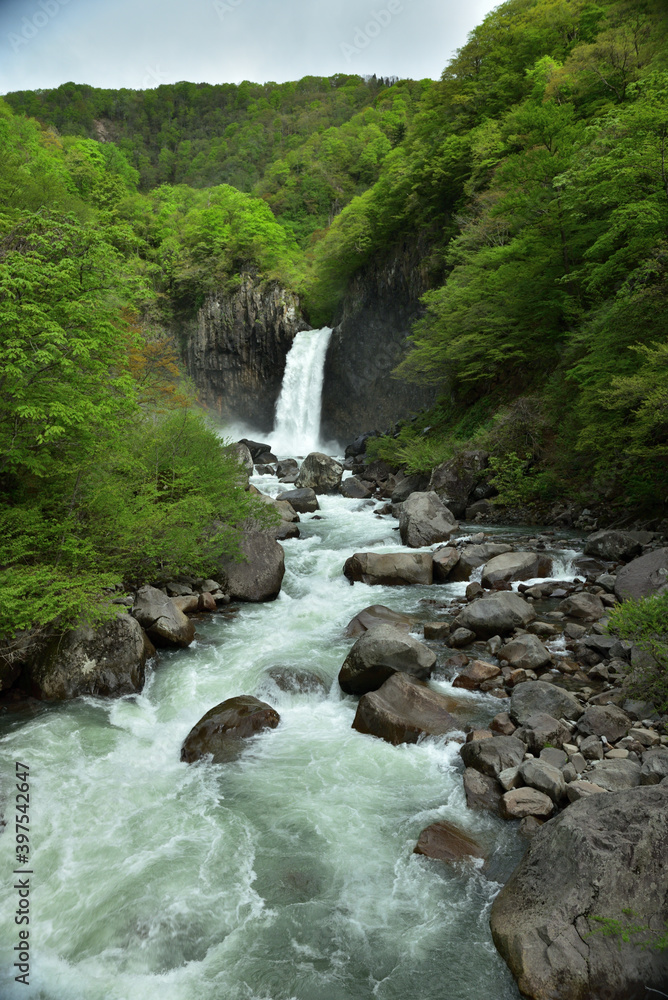 Fototapeta premium 新緑の苗名滝