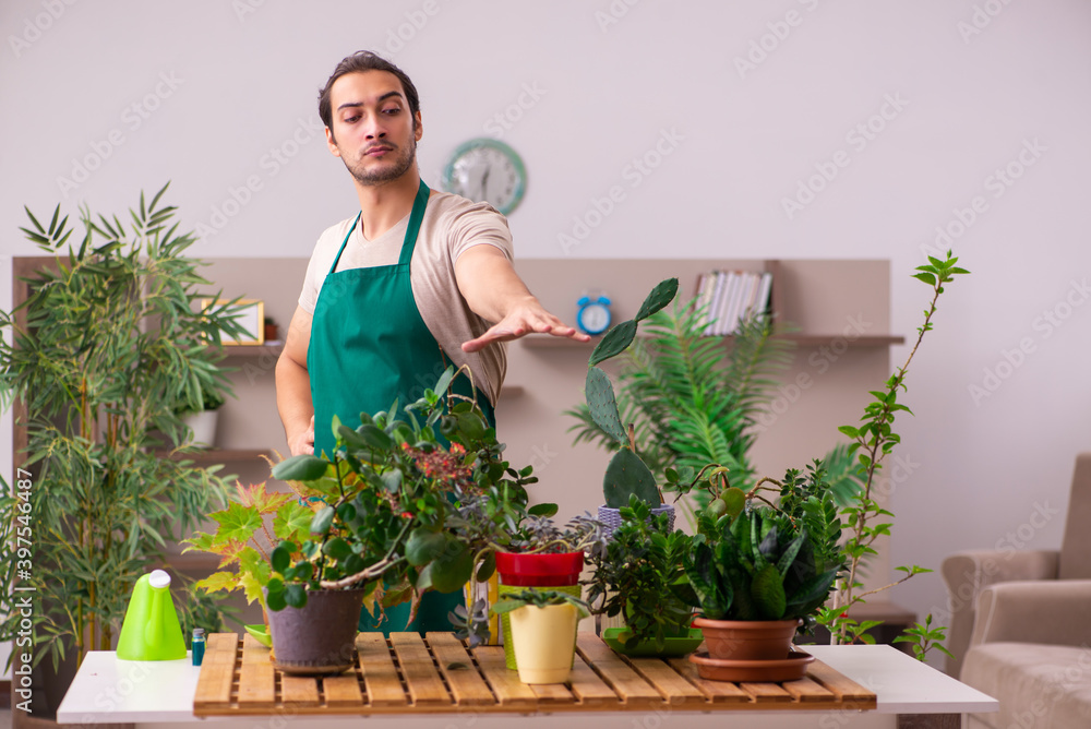 Young male gardener with plants indoors Young male gardener with plants indoors