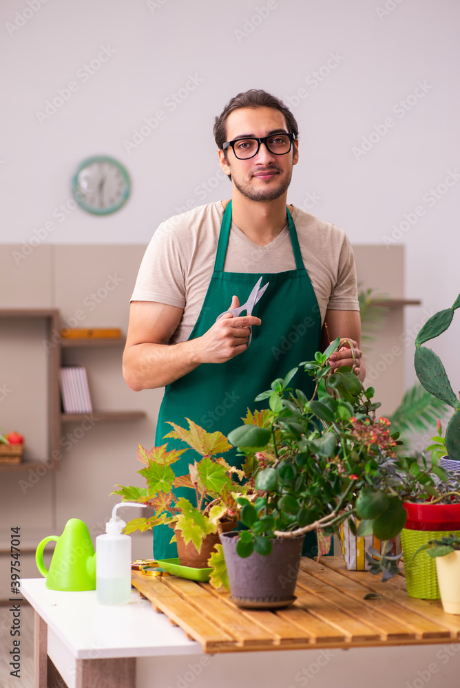 Young male gardener with plants indoors Young male gardener with plants indoors