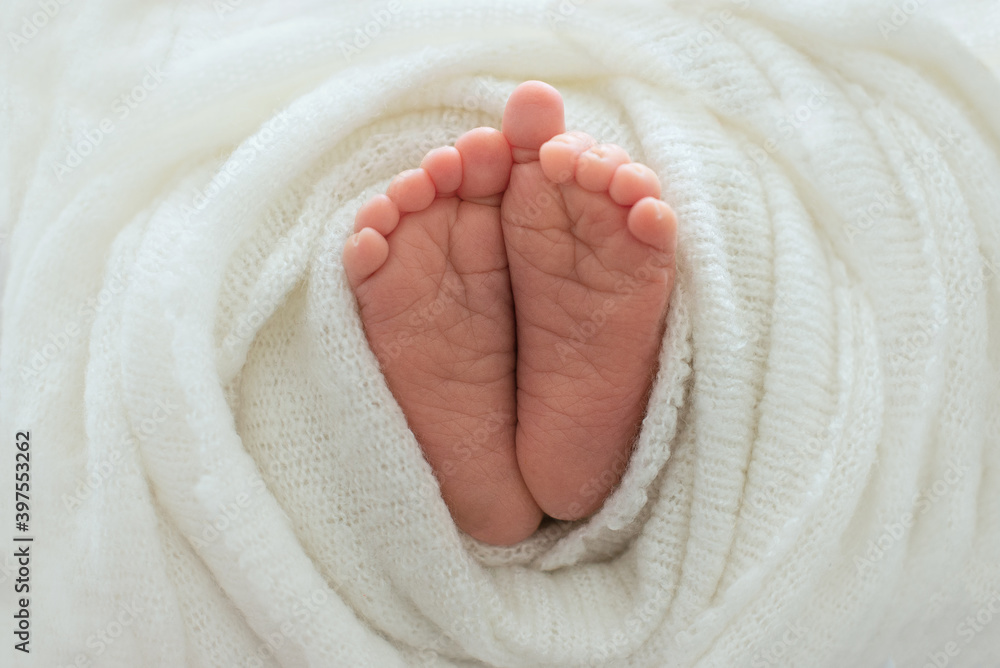 Foot of the newborn baby, tenderness. copy space in winter concept Foot of the newborn baby, tenderness. copy space in winter concept