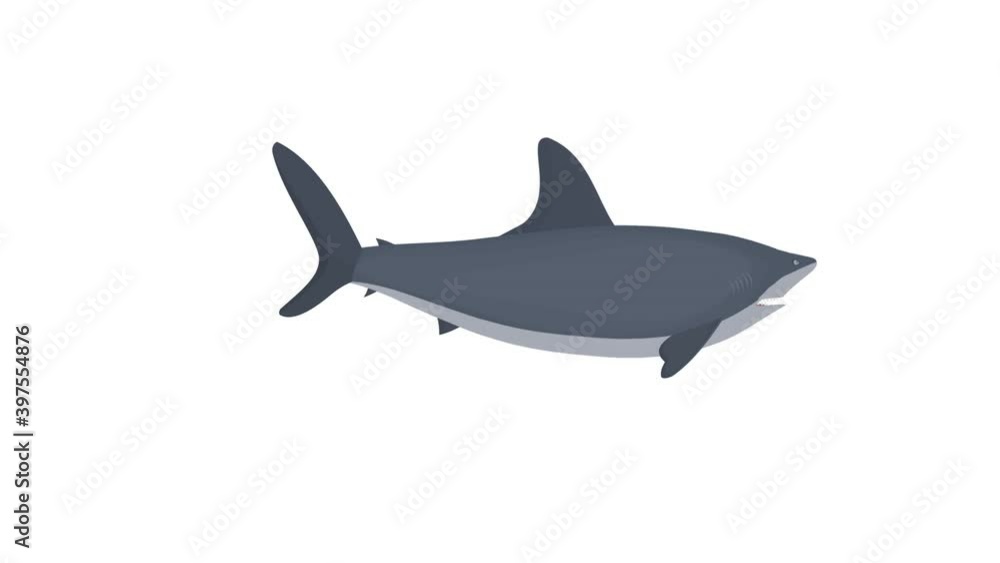 Shark. Fish shark animation, alpha channel enabled. Cartoon Shark. Fish shark animation, alpha channel enabled. Cartoon