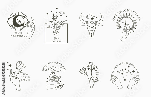 Beauty boho collection with hand, eyey,butterfly,flower,star.Vector illustration for icon,sticker,printable and tattoo