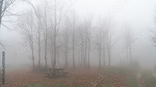 A table and bench in an autumn scene forest with fog