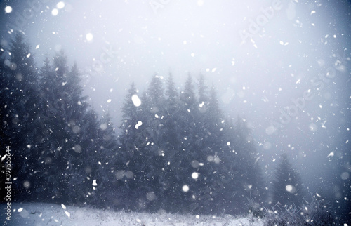 Trees covered with hoarfrost and snow in winter mountains - Christmas background