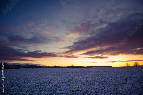 A beautiful, bright, colorful landscape of a winter sunrise. Bright sky and first snow. Winter scenery of a Northern Europe during the sunrise. © dachux21