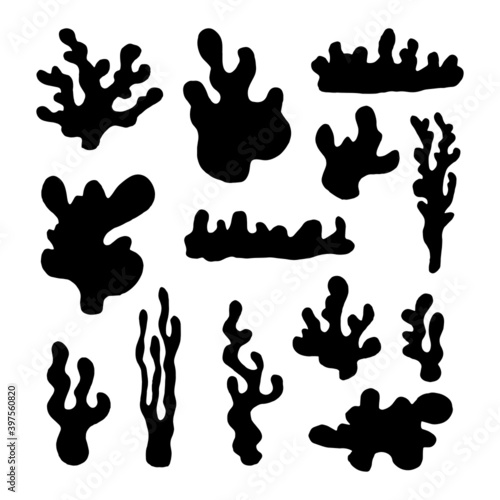 algae and sea corals. set of vector sketch icons