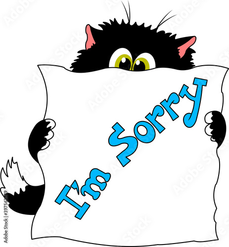 Cat apologizes