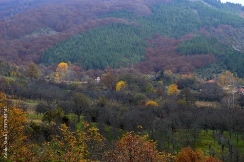 autumn landscape with colorful forest