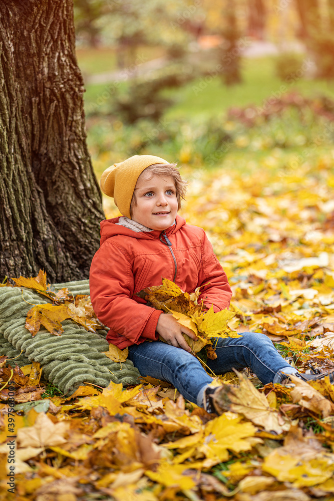 Cute little blond baby boy having fun outdoors in the park in autumn time sitting in the leaves under a tree in an autumn warm red color jacket and a cute hat. Cute little blond baby boy having fun outdoors in the park in autumn time sitting in the leaves under a tree in an autumn warm red color jacket and a cute hat.