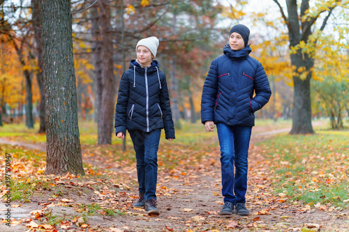 teen girl and boy walking through the park and enjoys autumn, beautiful nature with yellow leaves © soleg