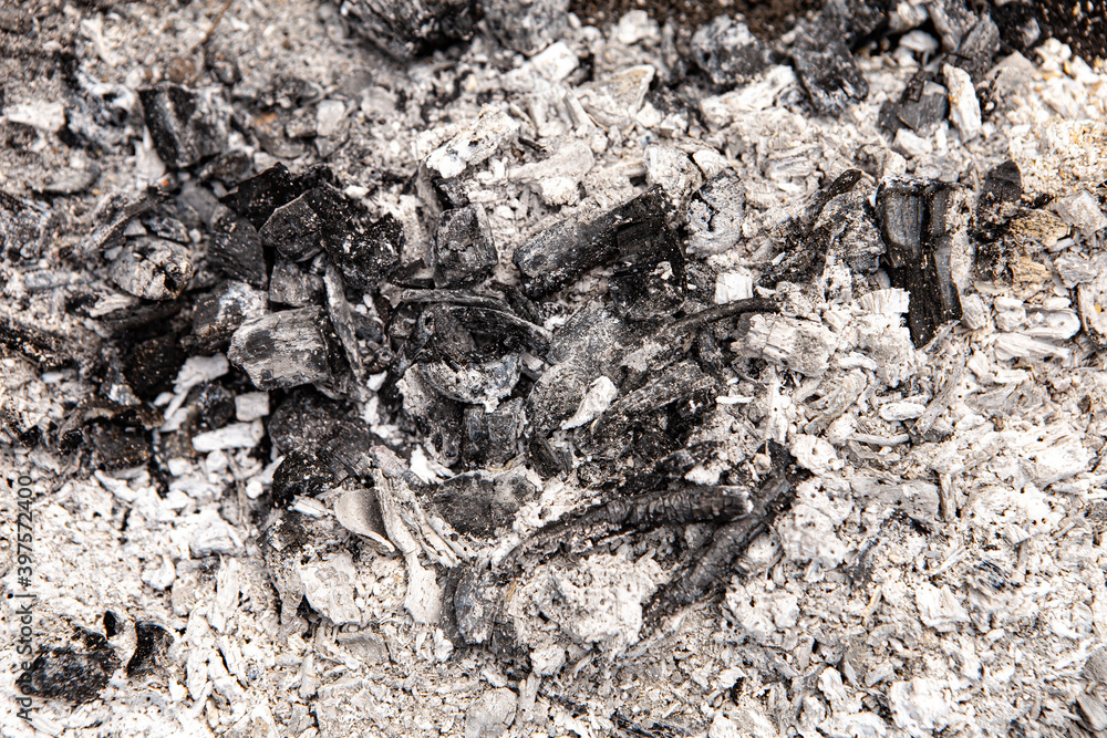 Gray natural black ash pile grunge abstract texture background. Charcoal after burning on a bonfire, pieces of burnt paper plastic bottles or wood branches bark of tree. Image with copy empty space Gray natural black ash pile grunge abstract texture background. Charcoal after burning on a bonfire, pieces of burnt paper plastic bottles or wood branches bark of tree. Image with copy empty space