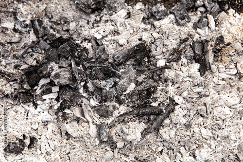 Gray natural black ash pile grunge abstract texture background. Charcoal after burning on a bonfire, pieces of burnt paper plastic bottles or wood branches bark of tree. Image with copy empty space