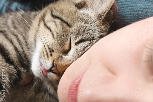 Sleeping tabby cat and human face