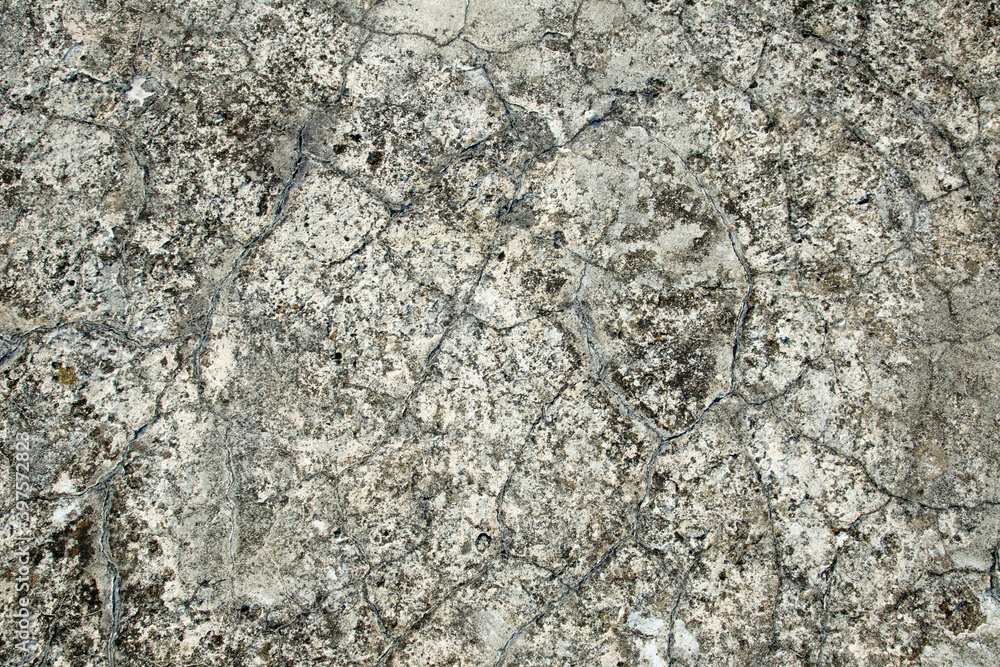 Gray texture of old stone. Close-up Gray texture of old stone. Close-up